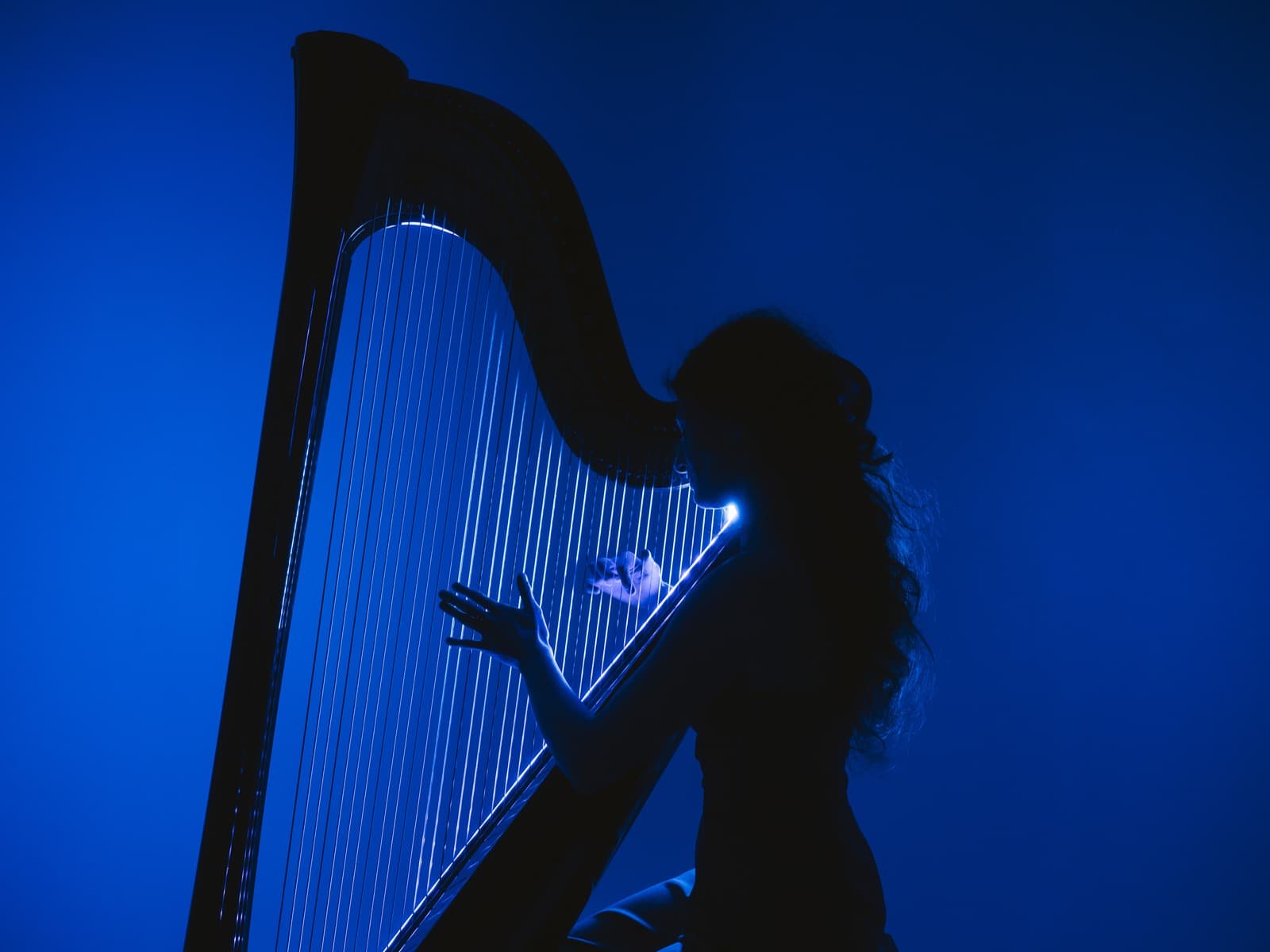 Electroacoustic harp, photo by Marcus Mainz